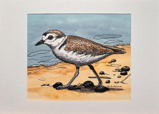 WESTERN SNOWY PLOVER Hand-painted print, 5x7 in